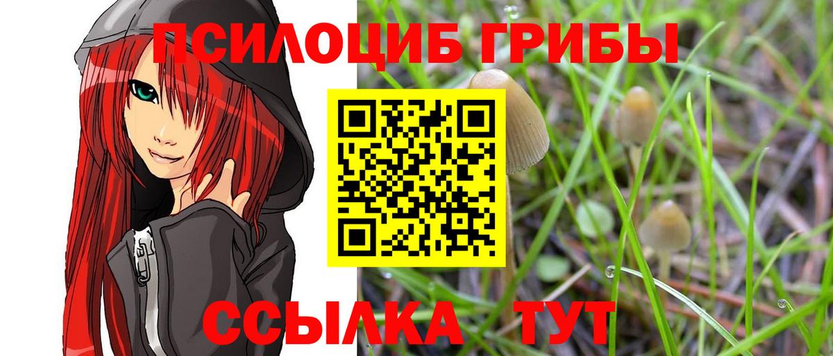 Галлюциногенные грибы ЛСД Новороссийск